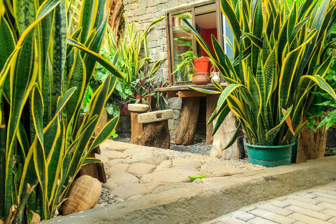 Pousada Quinta Ribeirinha Cidade Velha エクステリア 写真