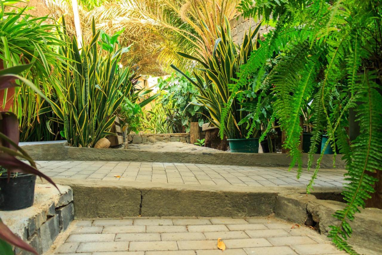 Pousada Quinta Ribeirinha Cidade Velha エクステリア 写真